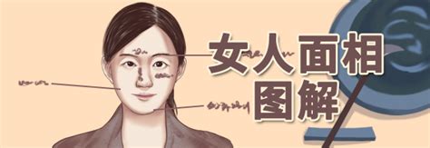 女人面相分析|女人面相分析图解